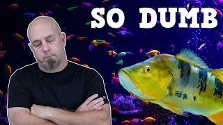 Top 5 Dumbest Things Fish Keepers Say (Special Collaboration)