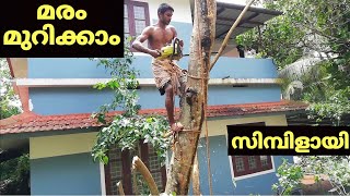 മരം  മുറിക്കാം സിമ്പിളായി. tree felling  kerala