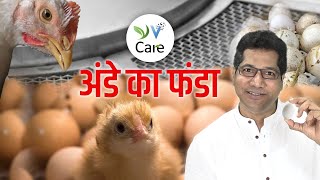 अंडे का फंडा | Ande ka Funda | Vegan Hindi India