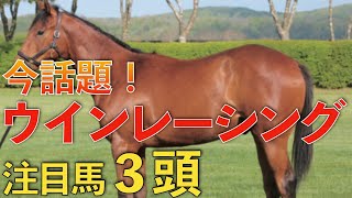 【今話題】海外GⅠでも結果を出したウインレーシングを紹介！重賞馬の仔もまだ出資可能です。