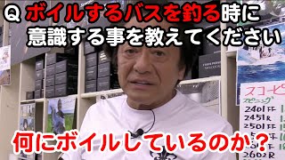 【村田基】バスのボイルを釣る時に意識する事[ バス釣り ]