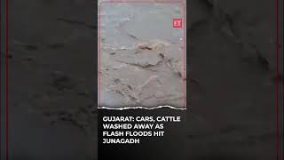 Gujarat: Cars, cattle washed away as flash floods hit Junagadh