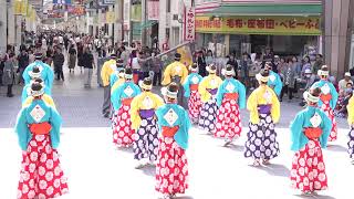 ほにや　まちなかよさこい2018　第4部　中央公園北口　1回目　2018年4月29日