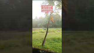 22 Cent original plot for sale at IRIMPANAM Thripunithura