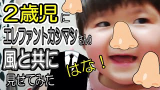 ２歳児に【風と共に】を見せてみた