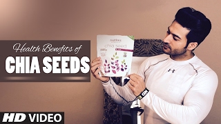 Health Benefits Of CHIA Seeds for weight loss, heart, brain \u0026 Skin | Guru Mann