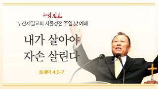 [부산제일교회 서울성전] 2024년 10월 27일 주일 대예배