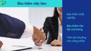 Chế Độ Phúc Lợi Xã Hội Ở Mỹ - Global Pathways Vietnam