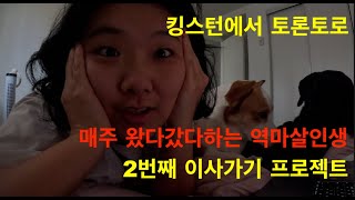 평일은 킹스턴 주말엔 토론토 역마살 오지는 삶😅 신세한탄하는 영상😅 제2탄 강아지 4마리와 함께 이사가기 프로젝트 2 시작 그리고 2024년 마지막영상 ㅋㅋ (🇨🇦11)