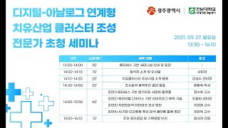 디지털 아날로그 연계형 치유산업 클러스터 조성 전문가 초청 세미나