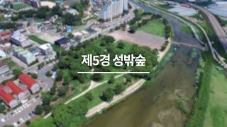 [기획]성주10경 - 제5경 성밖숲