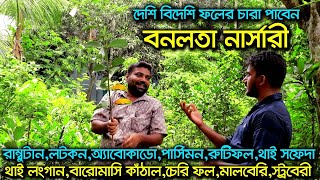 থাই লংগান রাম্বুটান অ্যাবোকাডো পার্সিমন ব্লাকবেরি চেরি ফল সহ দেশি বিদেশী ফলের চারা