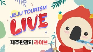 [LIVE] 제주 관광 라이브 제주도 실시간 날씨 / Jeju Tourism💚