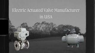 Valvesonly: Flow Control with Electric Actuated Valves in the USA