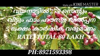 WAYANAD FARM PROPERTY