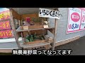 秋のバラ祭りと豊富すぎる焼肉食べ放題【奈良 橿原市】