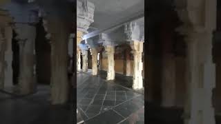 Varadaraja Perumal Temple | Bangaru Balli | Kanchipuram