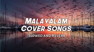 Malayalam Cover Songs | Slowed and Reverb | Tamil Lofi | Reverbs Feelings