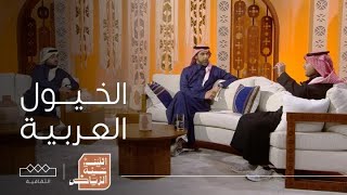 اثنينية الرياض | الخيول العربية