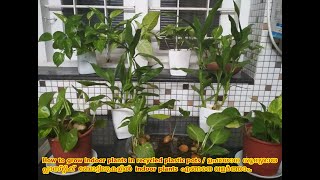 How to grow indoorplants in recycled plastic pots/ഉപയോഗശൂന്യമായ  ബോട്ടിലുകളിൽ  indoorplants വളർത്താം