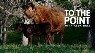 Cattle ranchers battle drought | To The Point