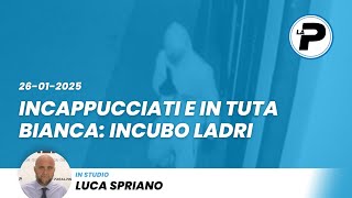 TGPrealpina 27/01/2025 | Incappucciati e in tuta bianca: incubo ladri