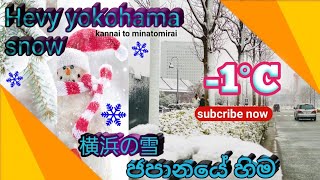 Japan snow | ජපානයේ හිම | 横浜雪 | magical snowfall in yokohama