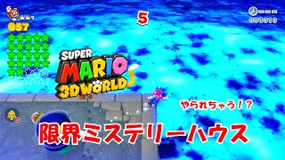 【スーパーマリオ3Dワールド】ワールド王冠　限界ミステリーハウス