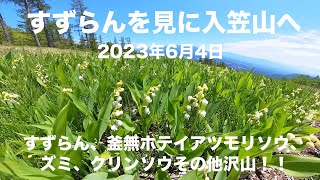 入笠山ハイキング 2023年6月4日　すずらん、釜無ホテイアツモリソウ、ズミ、クリンソウその他沢山の花が咲き始め