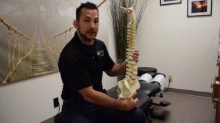 Why Your Hamstrings Are Always Tight