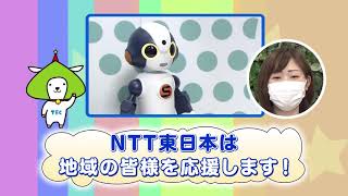 やまヤギの何コレ？コレクション（6/6）ＮＴＴ東日本が誇る最新技術が体験できるギャラリースペースを紹介するメー！