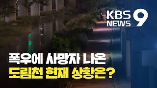 이 시각 서울 도림천, 어떤 곳? / KBS뉴스(News)