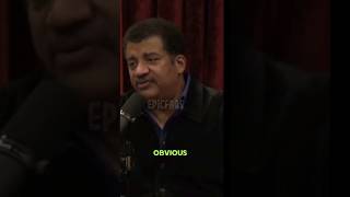 Ants Have the Biggest Brain to Body Weight Ratio w/ Neil Degrasse Tyson