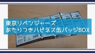 【東リベ】あたりつきハピネス缶バッジBOXを５回勝負！【缶バッジくじ】