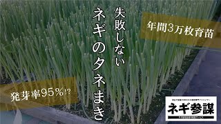 【失敗しない】ネギのタネ播きをネギ参謀がお伝えします！【チェーンポット苗】