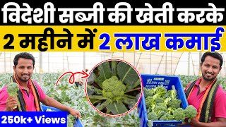 ब्रोकली की खेती से मालामाल हो जाओ😱🤑60 दिनों में लाखो का मुनाफा💯🤑Indian Farmer