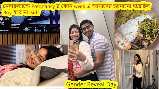 নেদারল্যান্ডে Pregnancy র কোন week এ আমাদের জানানো হয়েছিল Boy হবে না Girl? Oats omelet বানালাম