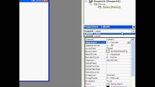 Computer programming | Microsoft Visual Basic 6 tutorial (Basics) | simple project — date & time app