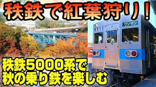 【秋の乗り鉄】秩父鉄道5000系に乗って紅葉狩り！？【美しい車窓】