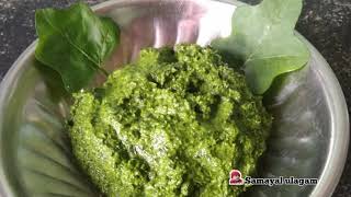 தூதுவளை துவையல்/Thuthuvalai thuvaiyal/thuthuvalai thuvaiyal recipe in tamil/