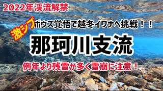 【渓流ルアー】2022年3月渓流解禁！残雪多い那珂川支流へボウズ覚悟の越冬イワナチャレンジ！！