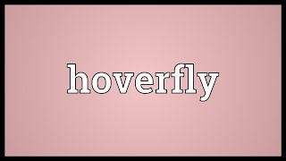 Hoverfly Meaning