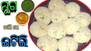 ||ମୁଗ ଡାଲି ରେ ବନାନ୍ତୁ ଫୁଲକା ଫୁଲକା ଇଟିଲି||Moong Dal Idli ||ମୁଗ ରେ ସ୍ବାଦିଷ୍ଟ ଇଟିଲି ||