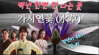 #연속듣기#가사첨부 #정년이ost#알리#가시연꽃