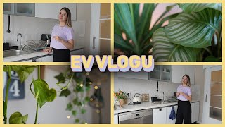 ev vlogu🌼🏠