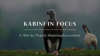 Kabini in Focus | A film by Pravin Shanmughanandam | Evolve Back Kuruba Safari Lodge