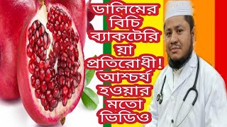 ডালিমের বিচি ব্যাকটেরিয়া প্রতিরোধী! Pomegranate Beach is resistant to bacteria!