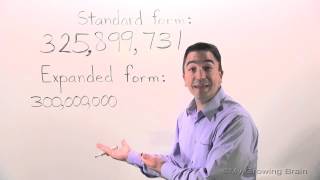 Expanded Form: Hundred Millions / My Growing Brain