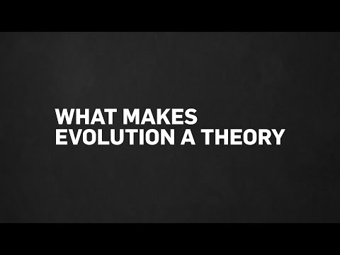 Why is it classified as a theory?