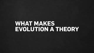 What Makes Evolution a Theory?